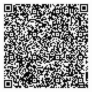 vCard 79833300301