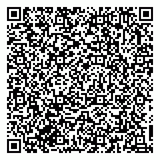 vCard 79833300305
