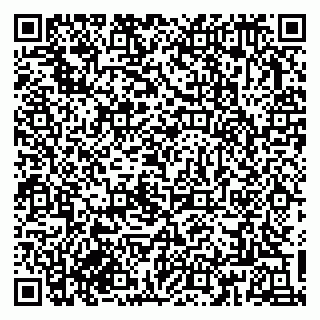 vCard 79833300308