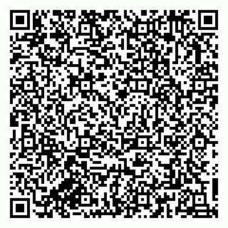 vCard 79833300309