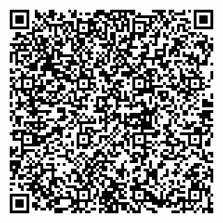 vCard 79833300311