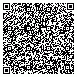 vCard 79833300313