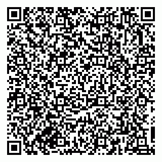 vCard 79833300317