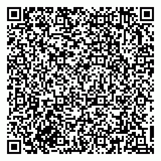 vCard 79833300321