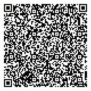 vCard 79833300331