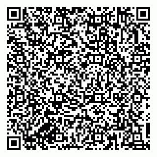 vCard 79833300333