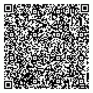 vCard 79833300335