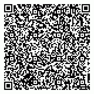 vCard 79833300371