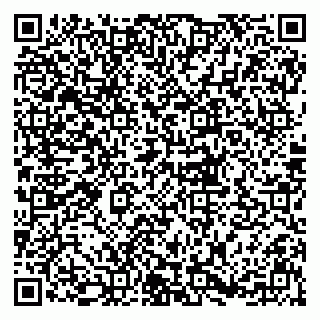 vCard 79833300378