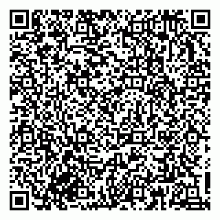 vCard 79833300379