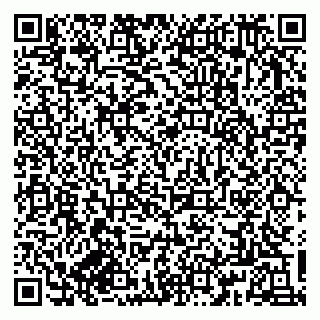 vCard 79833300380