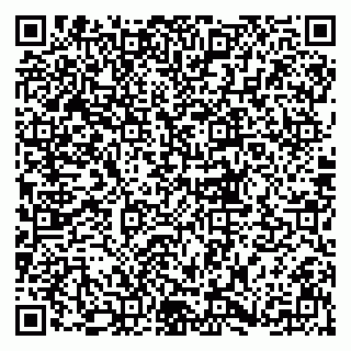vCard 79833300381