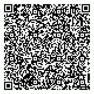 vCard 79833300382