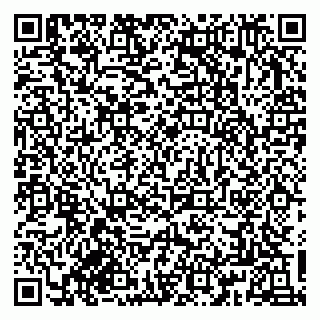 vCard 79833300384