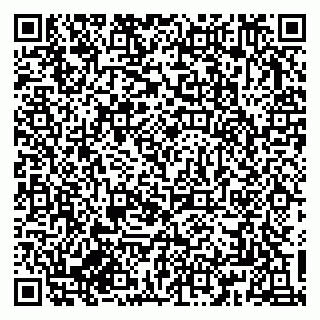 vCard 79833300387