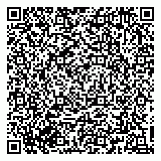 vCard 79833300389