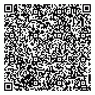 vCard 79833300390