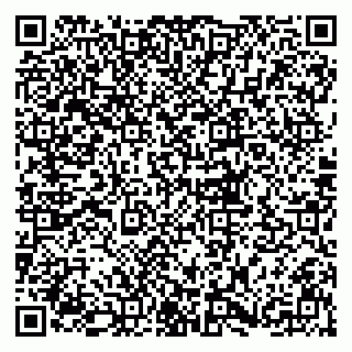 vCard 79833300391
