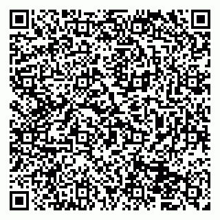 vCard 79833400003