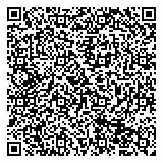 vCard 79833400009