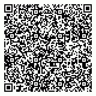 vCard 79833400011