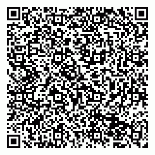 vCard 79833400013