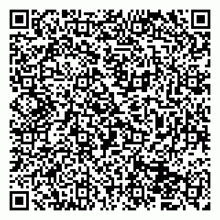 vCard 79833400032