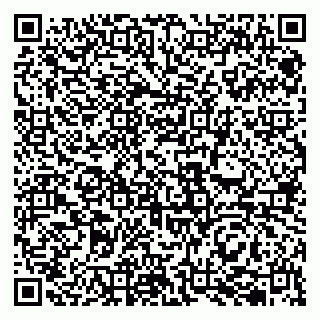 vCard 79833400033