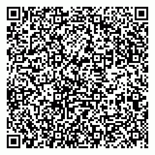vCard 79833400035