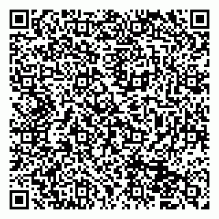 vCard 79833400041