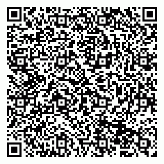 vCard 79833400048