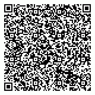 vCard 79833400085