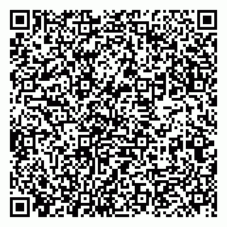 vCard 79833400087