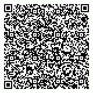 vCard 79833400093