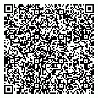 vCard 79833400099