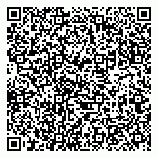 vCard 79833400119