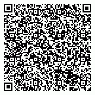 vCard 79833400133