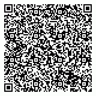 vCard 79833400139