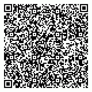 vCard 79833400145