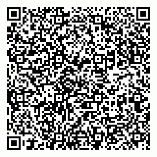 vCard 79833400161
