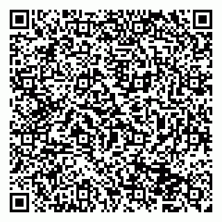 vCard 79833400163