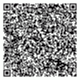 vCard 79833400171