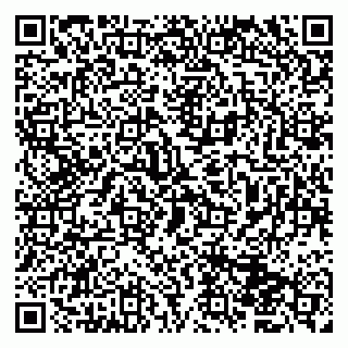 vCard 79833400173