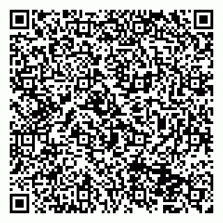 vCard 79833400175