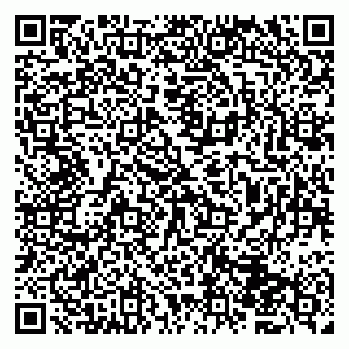 vCard 79833400181