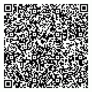 vCard 79833400199