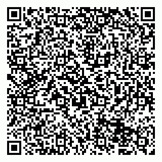 vCard 79833400203