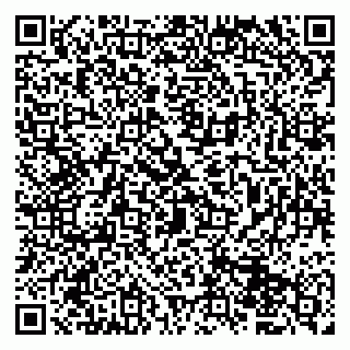 vCard 79833400209