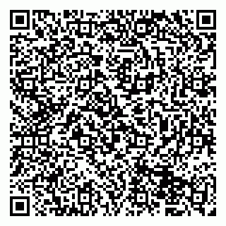 vCard 79833400211