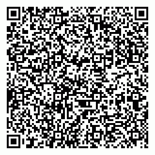 vCard 79833400239
